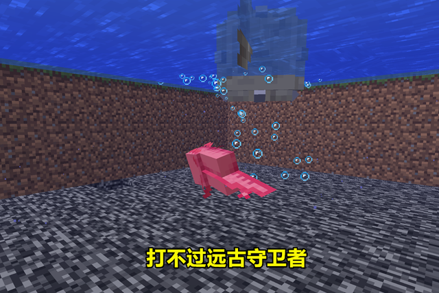 玩游戏的迷恋_我的世界:你觉得美西螈只有可爱?那你就错了 美西螈战力惊人