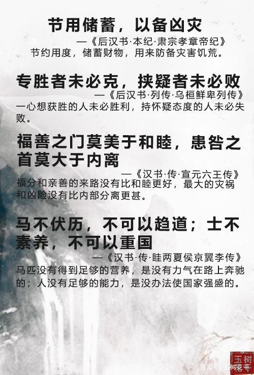 玉树花千 《汉书》《后汉书》中富含深意的名言名句，带你仰望千年大汉气象