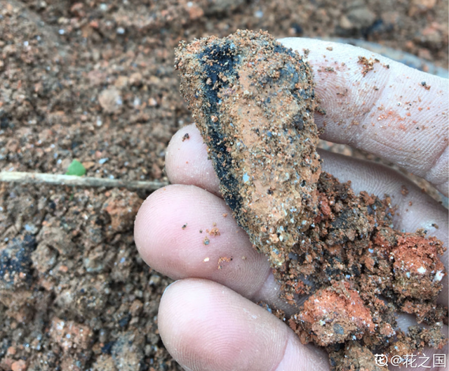 9种土别拿来养花,对花不好,容易黄叶烂根