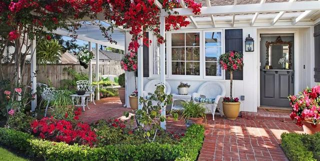 种植三角梅的3点技巧,做到了开花满园,做错了枝叶横生