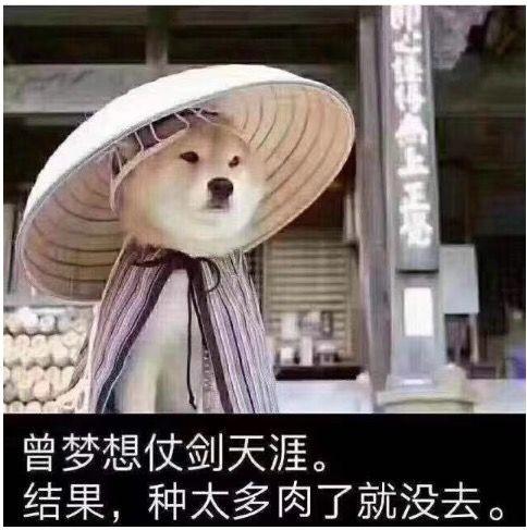 夏日,多肉断舍离