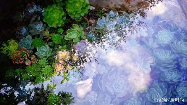 3年时间,DIY设计改造72㎡露台,把屋顶装出了别墅花园的感觉