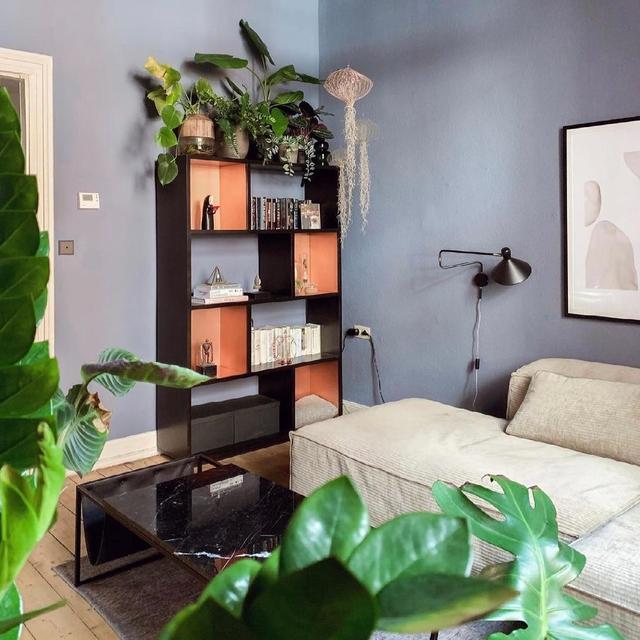 德国单身女主,因会布置而走红网络,家居生活引上万人围观,治愈