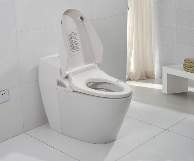 上厕所用完的纸,应该冲走还是扔进纸篓?看完也许涨知识