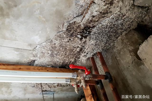 楼房屋顶漏水,不要盲目去修,要把修复方法和处理途径弄清楚