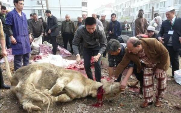 回族的传统节日是什么 回族为什么不吃猪肉
